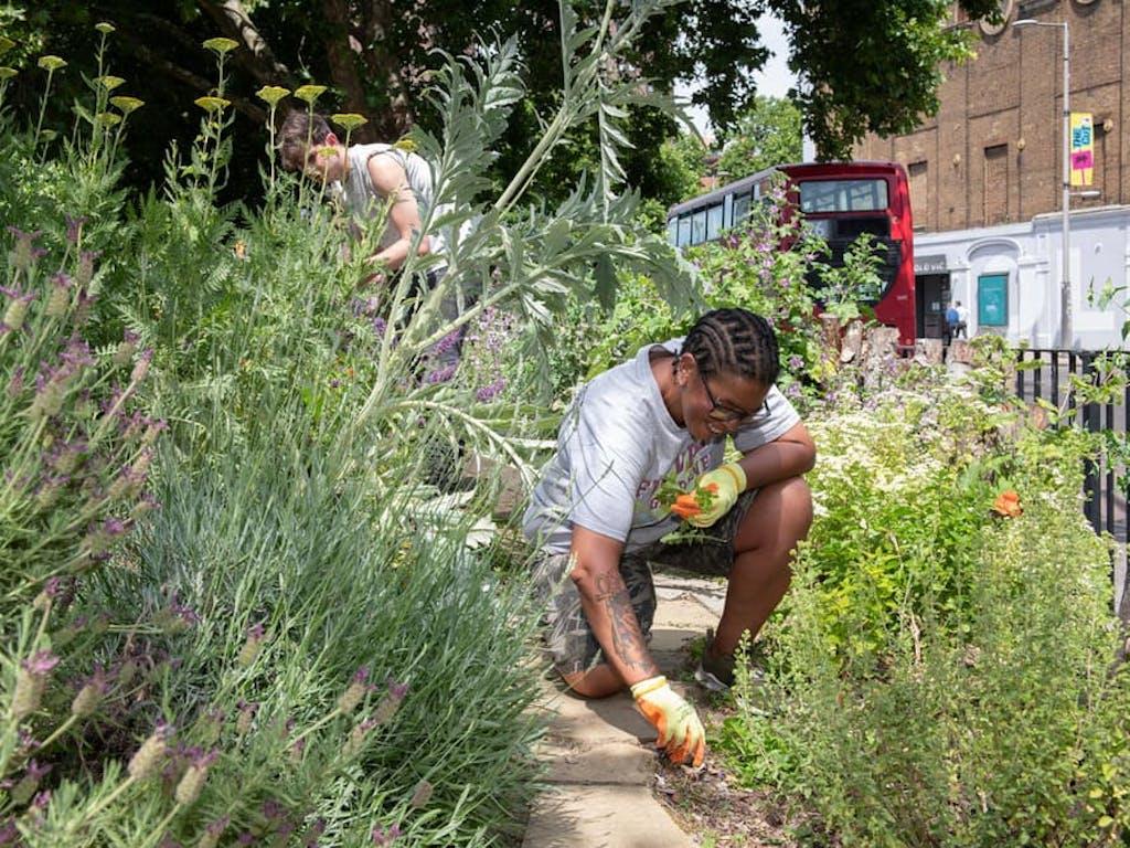 Trainees working at Waterloo Millennium Green, Bankside Open Spaces Trust (BOST) and The Worshipful Company of Gardeners, Future Gardeners Training Scheme, London, UK