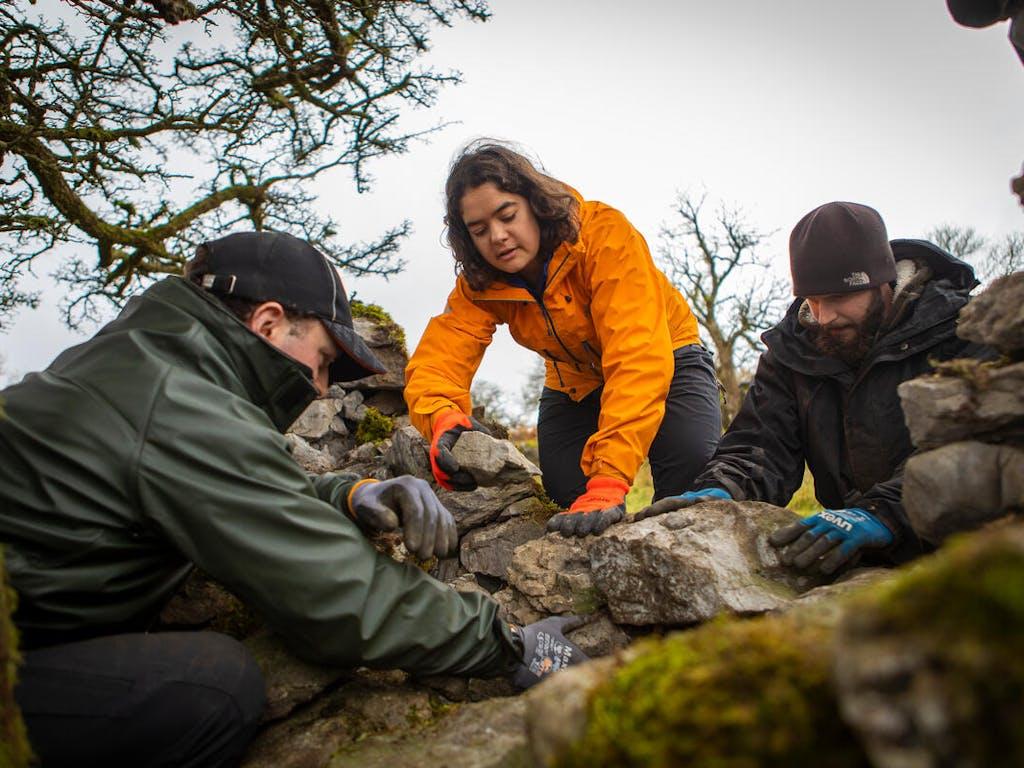 Volunteers take part in the restoration of a dry stone wall. The volunteer scheme is for young people (18-30) to learn practical land management skills through volunteering in the national park as part of the Yorkshire Dales National Park’s Upskill, Down Dale project. Ashes Shaw Nature Reserve, Ingleborough, North Yorkshire, UK.