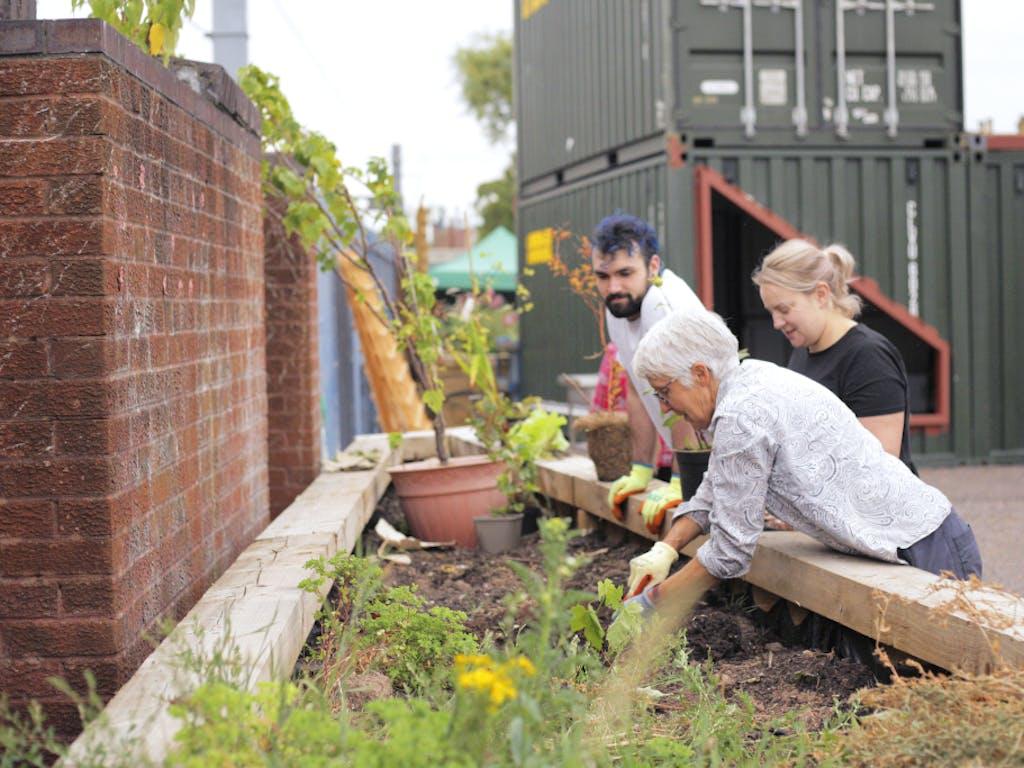 Community gardening