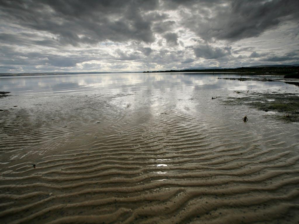 Nigg Bay RSPB reserve, Cromarty Firth, Easter Ross, Scotland 