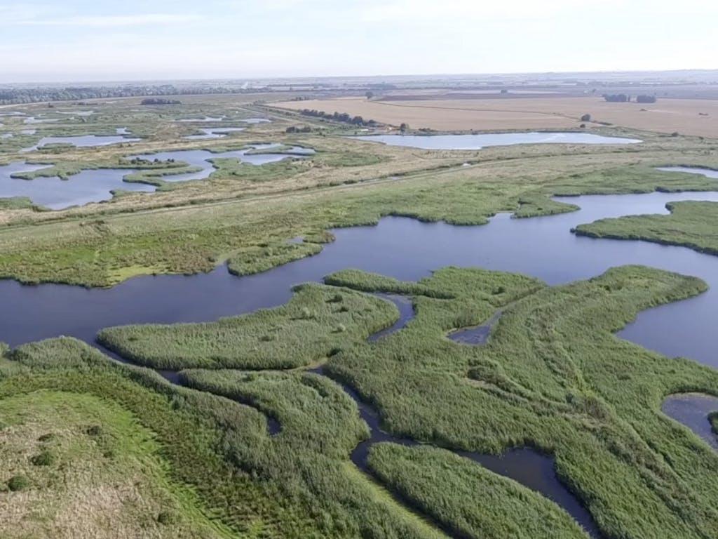 Ouse Fen wetland, Cambridgeshire, aerial shot
