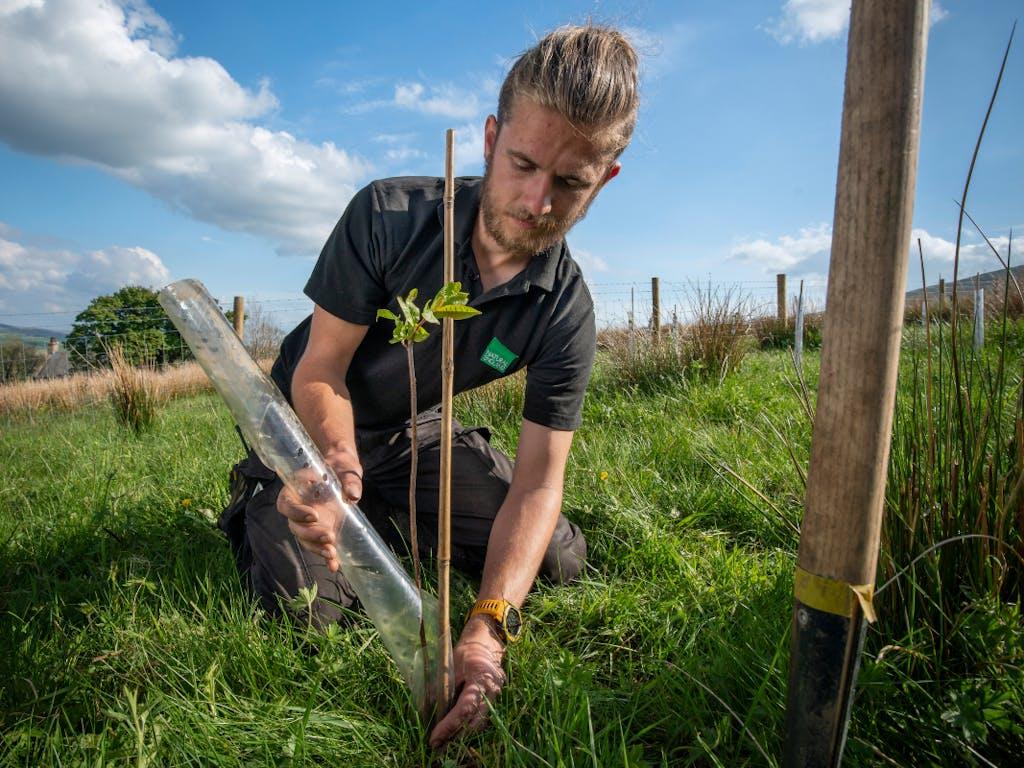 Natural England employee Frank Morgan is planting trees to create a new native woodland on the Wild Ingleborough site. 