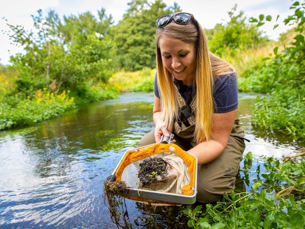 Ursula Juta, Senior Project Officer at Norfolk Rivers Trust (NRT), is using a net to sample for invertebrates in the river Glaven, near Letheringsett, Norfolk, UK.